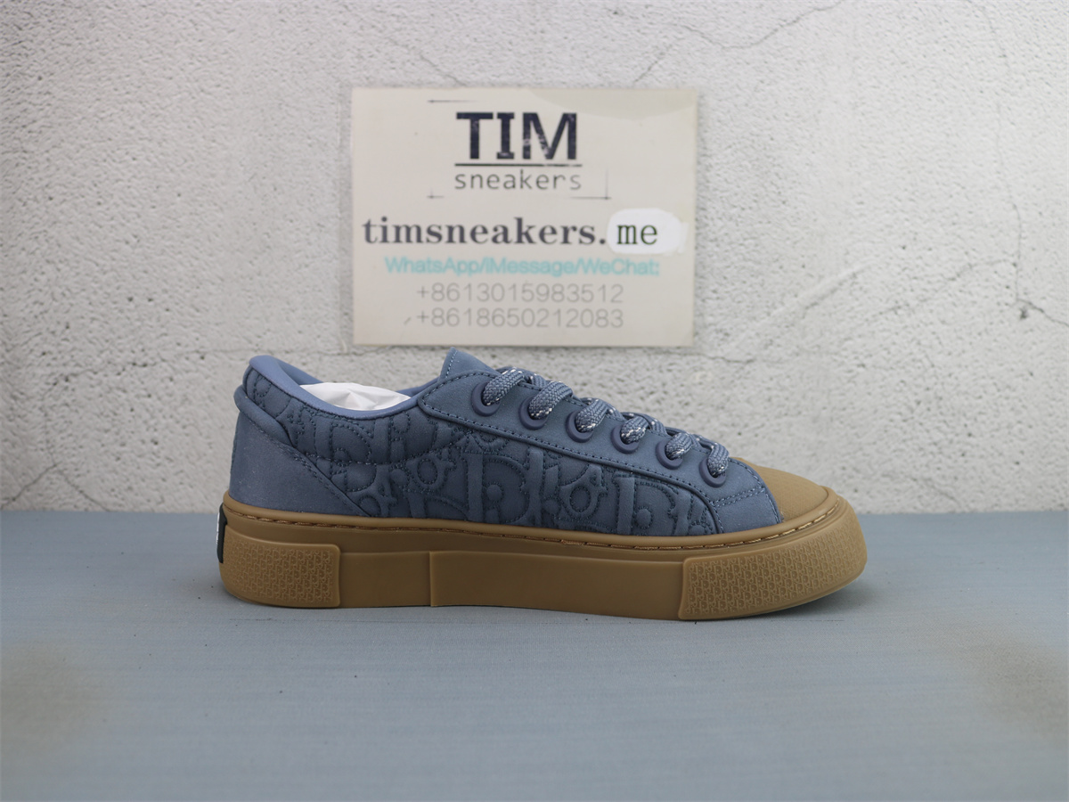 Stone Island X DIOR B33 Skateboard Shoes Men Low-Top Blue